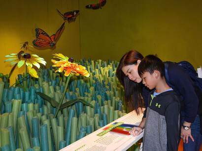 Our Senses. Courtesy of American Museum of Natural History