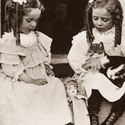 It’s Raining Cats and Dogs. Courtesy of MOHAI