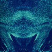 Carolina Charry & Savia Solaris. Courtesy of Museo La Tertulia