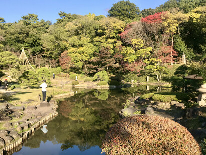 Higo Hosokawa Garden © Alma Reyes