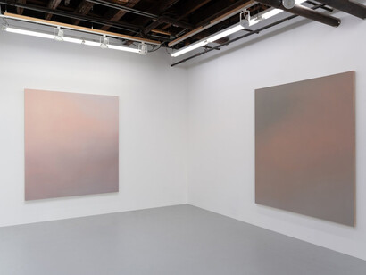 Maximilian Rödel, Arcane dust, exhibition view. Courtesy of Carvalho Park