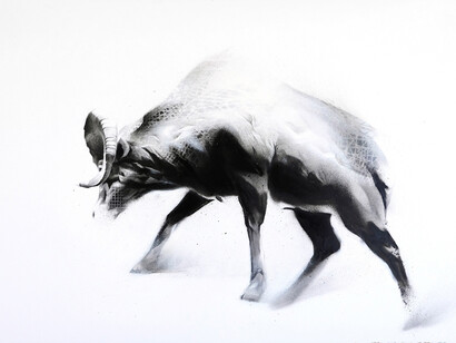 Li-Hill, Steady, (Bighorn Sheep – Ovis canadensis), Graphite and aerosol on paper, 30in x 22in (76 x 56cm)