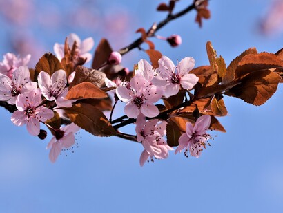 La primavera ci preparerà e ci porterà alla stagione estiva