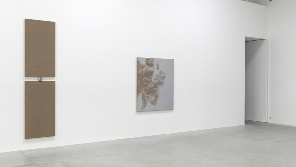 N. Dash. Courtesy of Zeno X Gallery