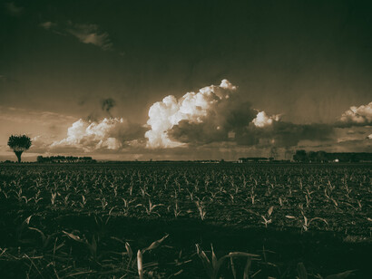 Rinascita, foto Francesco Pala