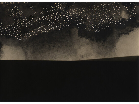 Alison Rossiter, From the series Landscapes, Defender Argo, expired September 1911, processed, 2014, Gelatin Silver Print, Unique © Alison Rossiter, Courtesy Yossi Milo Gallery, New York