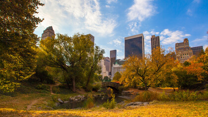 Dying Parks in our Cities 