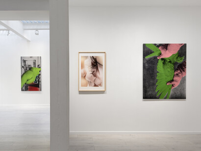 Annika Elisabeth von Hausswolff, A song for Europe, exhibition view. Courtesy of Andréhn-Schiptjenko © Alexandra de Cossette