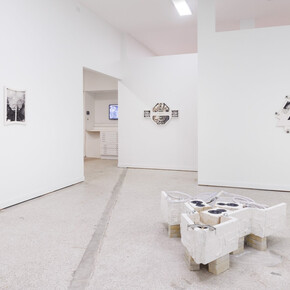 Alberto Checa, ConchaFlush, exhibition view. Courtesy of Emerson Dorsch Gallery