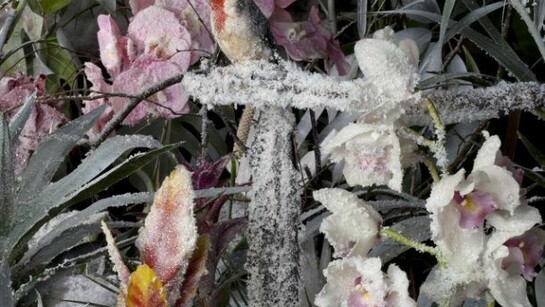 Mat Collishaw, Crystal Gaze No. 5, 2012, fotografia lenticolare, specchio, luci LED, cornice in resina, 86x105,5cm