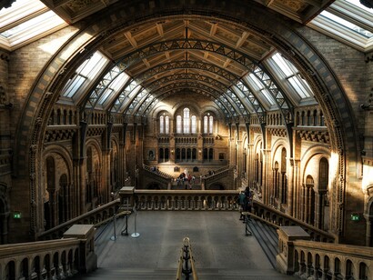 Interior Of the Natural History Museum