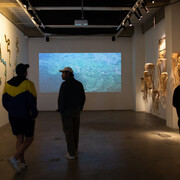 Santiago Vélez, Todo lo que brilla es oro, vista de exhibición. Cortesía de Espacio El Dorado 