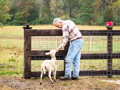 Man's quest to be compassionate to those species that are beneath them on the food chain by showing compassion and feeding the animal