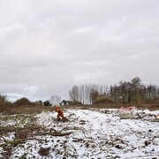 Frances Kearney, Untitled IV. Running Wild, 2013 © Frances Kearney