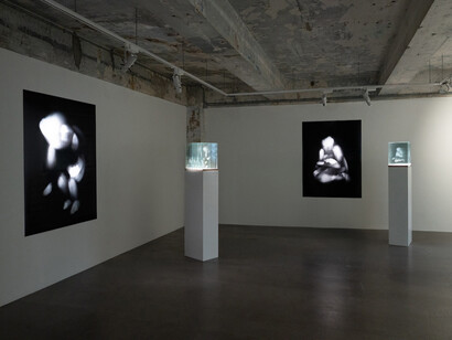 Isaac Chong Wai, Carefully, exhibition view. Courtesy of Blindspot Gallery