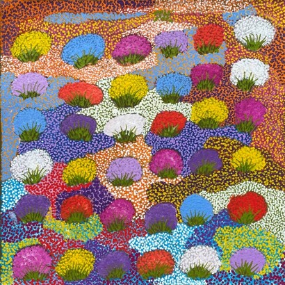 Daisy Peterson, Bush flowers (detail). Courtesy of Japingka Gallery