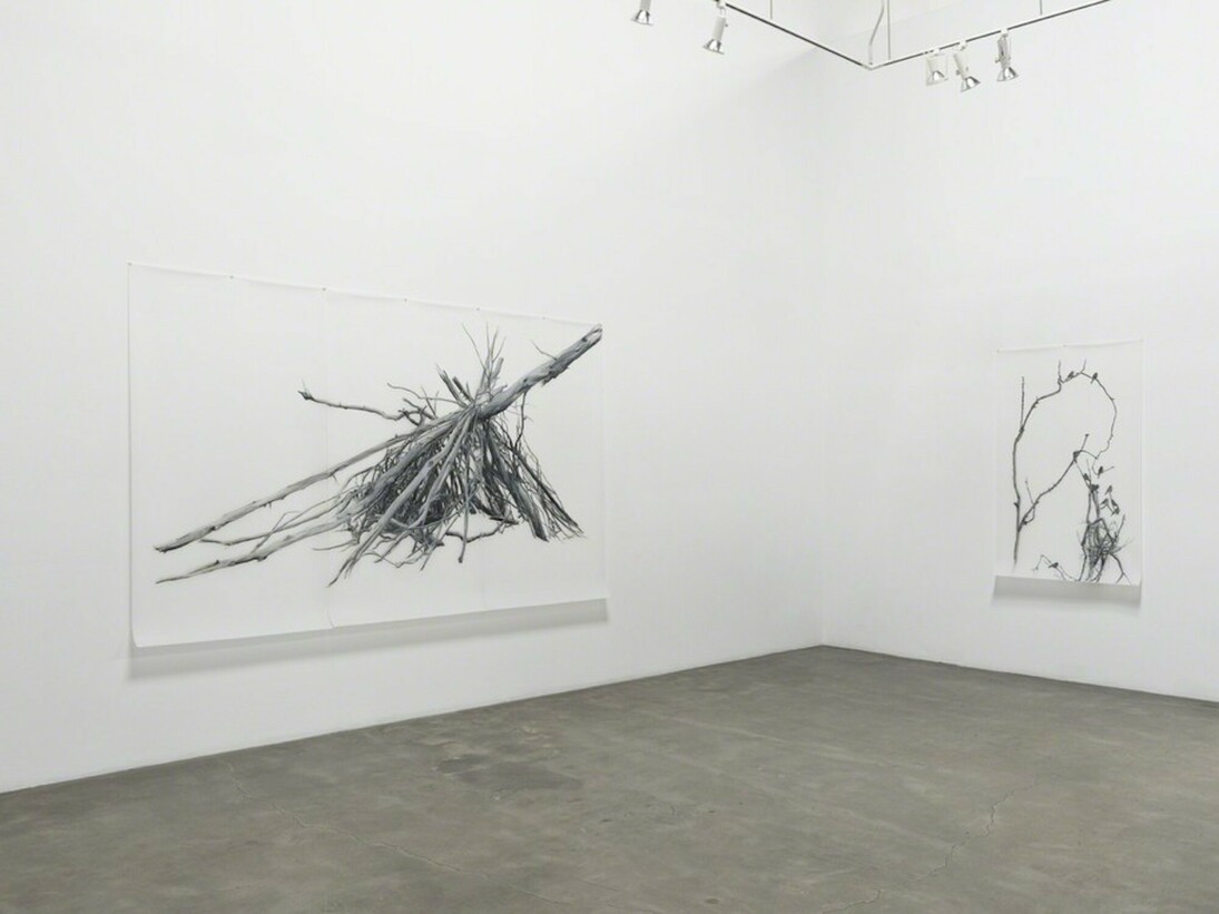Lynn Hanson's Wrack & Bramble, Exhibition view. Courtesy of Lora Schlesinger Gallery