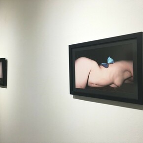 Last Night, Exhbiition view. Courtesy of Castor Gallery