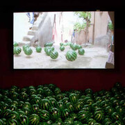 Cengiz Tekin. Untitled, 2013. Installation view. Courtesy of the artist.