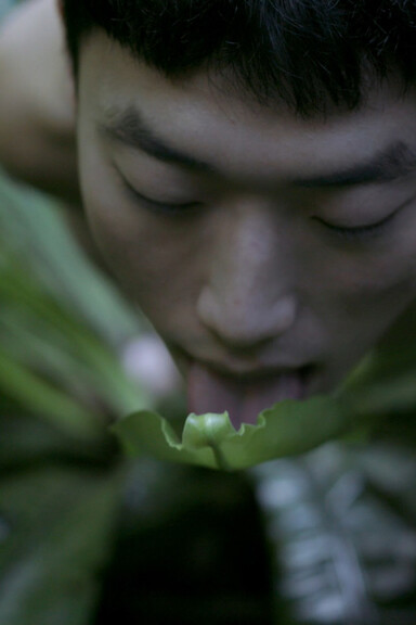 Garden of Earthly Delights. Courtesy of Martin Gropius Bau