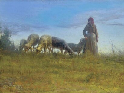 Tommasi Adolfo, pecore al pascolo