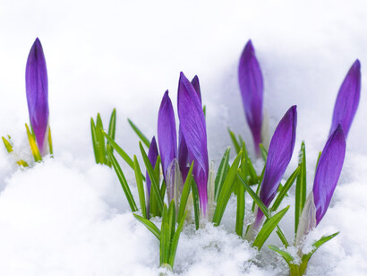 Posiblemente el propósito más importante y difícil que podamos emprender sea el de conocernos nosotros mismos