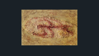 Jean Fautrier, "It’s How You Feel", 1958