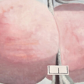 Mantas Platūkis, Identification (apples) (detail), 2025. Courtesy of Pamėnkalnio Gallery