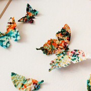 Ottica Meier+Gaggioni SA