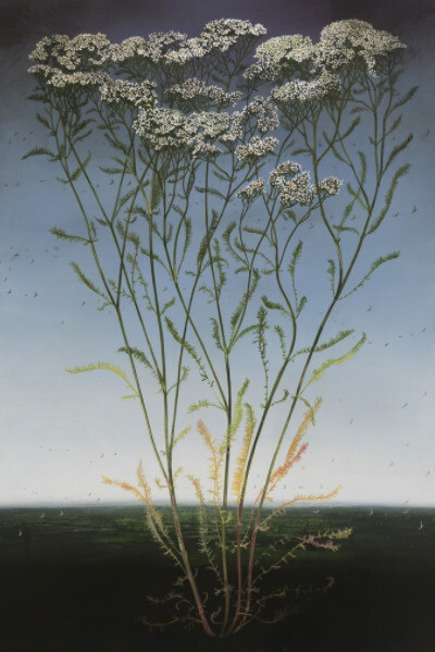 Michael Canning. Courtesy of Waterhouse & Dodd