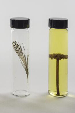 The Perilous Texas Adventures of Mark Dion. Courtesy of Amon Carter Museum of American Art