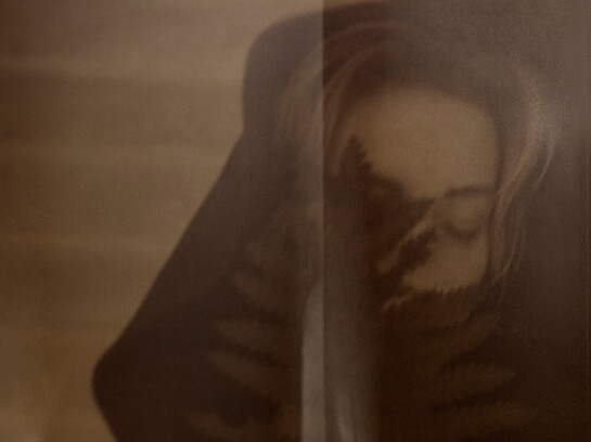 Patricia Heal, Willow, 2014, giclee print