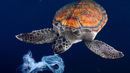 Today billions of pounds of plastic get into the sea