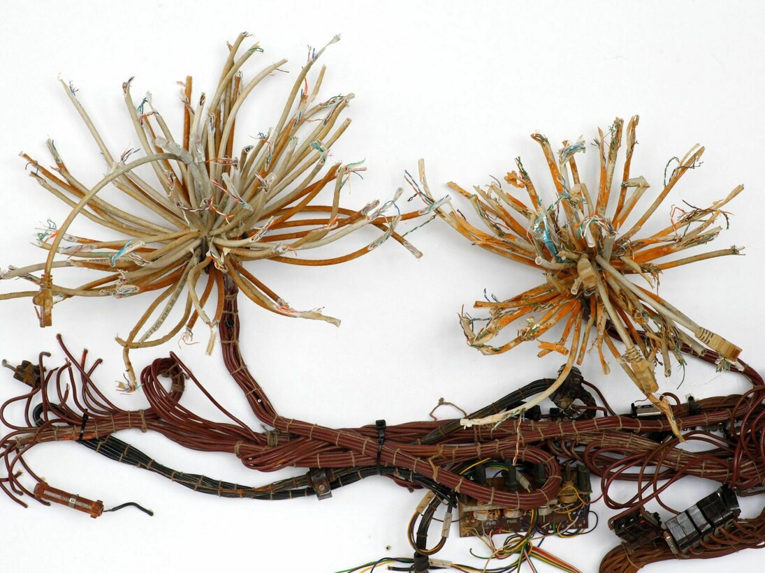 Herbario plate, Krištof Kintera, Postnaturalia Herbario Plate, 2016, mixed media 103 x 73 x 5 cm. Courtesy of Collezione Maramotti