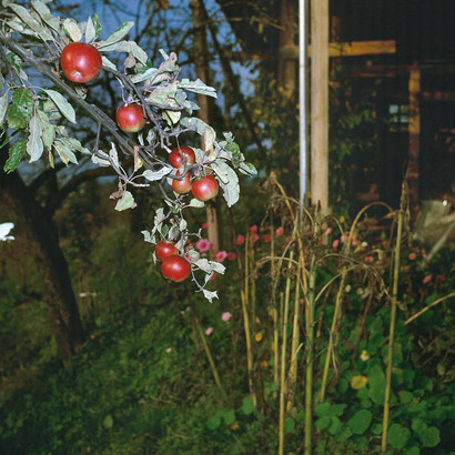 Manfred Willmann. Courtesy of Albertina Museum