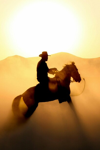 He will be even more joyed to see this boy than he will about being rescued, and what a glorious horse he has