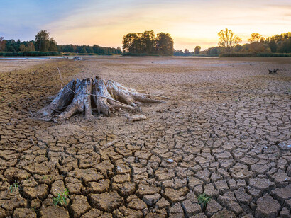 El agua se evaporó y en vez de lago sólo quedó desertización