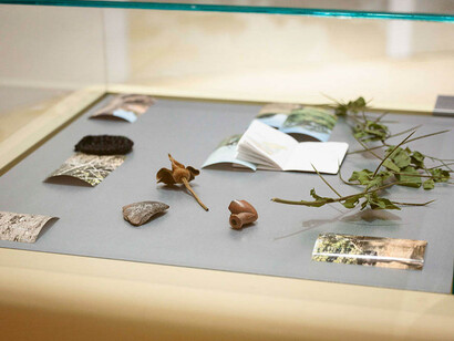 Various artists, Maxxi Bvlgari Prize 2024, exhibition view. Courtesy of Maxxi