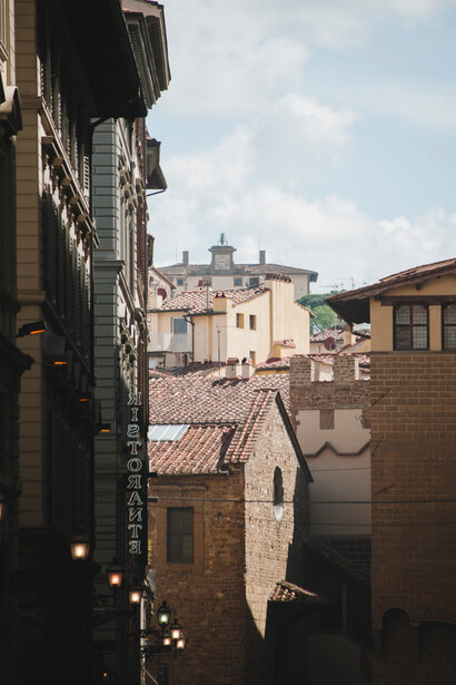 Scorcio sulla città di Firenze che ospita la Libreria Odeon 