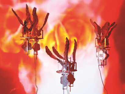 Carolee Schneemann. Courtesy of MoMA PS1