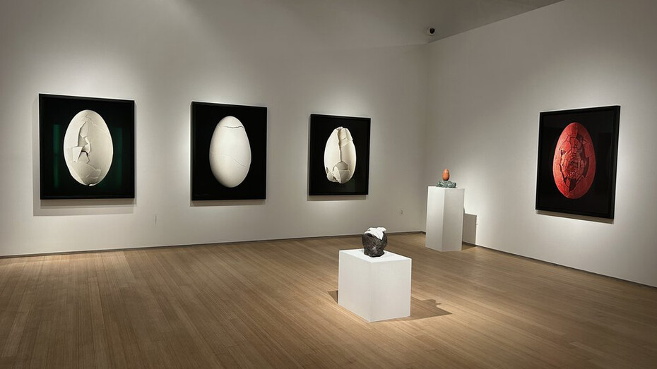 Nathalia Edenmont, Out of body, exhibition view. Courtesy of Nancy Hoffman Gallery