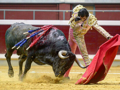 Los antitaurinos denuncian el sufrimiento del toro durante la corrida