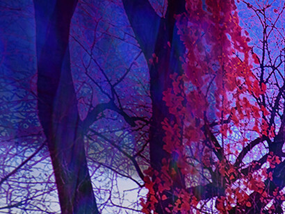Viewpoints. Courtesy of Bitfactory Gallery