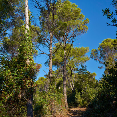 Sentiero del pellegrino da Novi a Varigotti