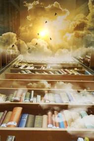 Shelves of books that extend into the sky