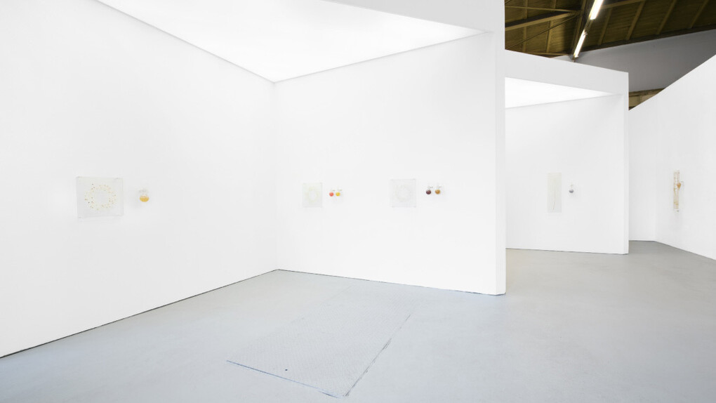 Elsa Salonen, Moonlit botanical colour theories, exhibition view. Courtesy of Galerie Jochen Hempel