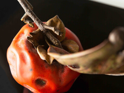 Tsutomu Iwasaki, artwork in exhibition. Courtesy of Tomio Koyama Gallery