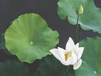 Nothing is permanent