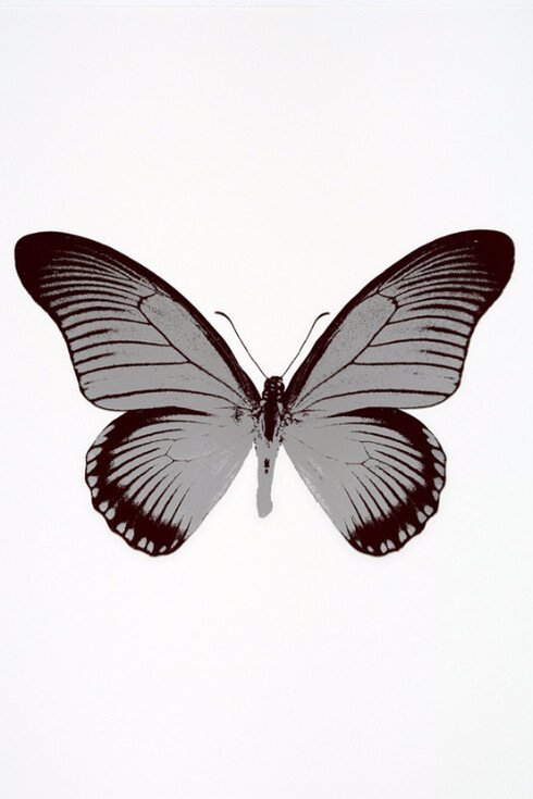 Damien Hirst. Courtesy of Samuel Owen Gallery