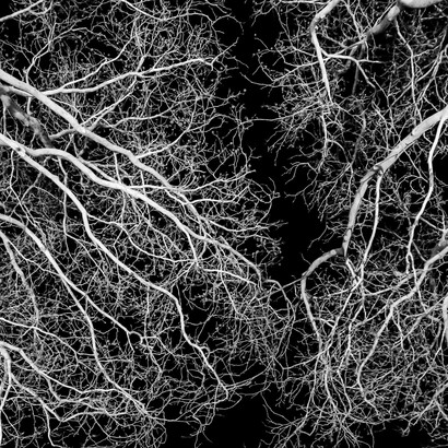 Tra natura e grazia, vita e morte, presenza e assenza, l’uomo continua a vivere dentro una tensione che non può essere definitivamente risolta